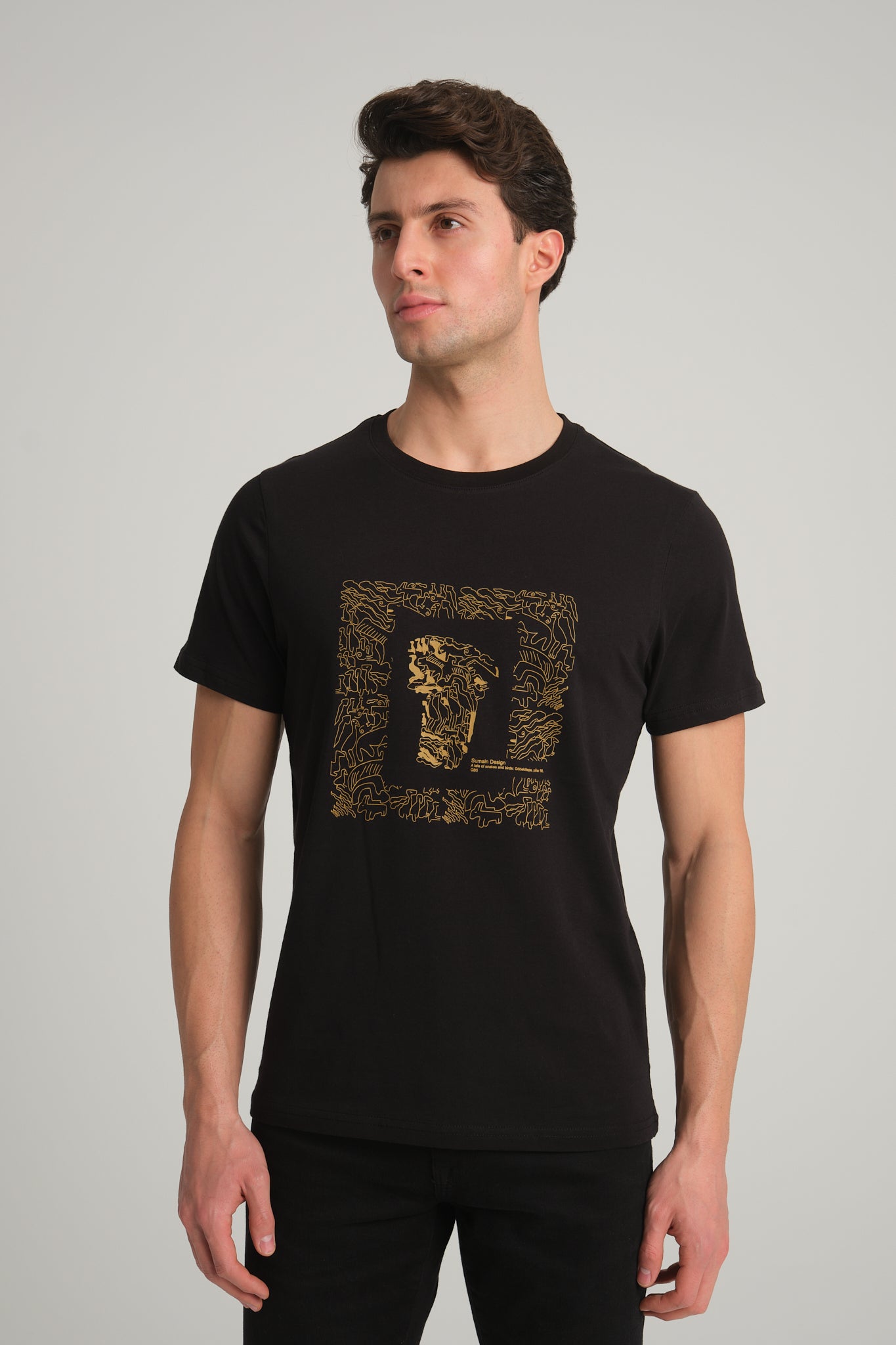 Gobeklitepe Printed Men's Black T-Shirt "The Story of Snakes and Birds"