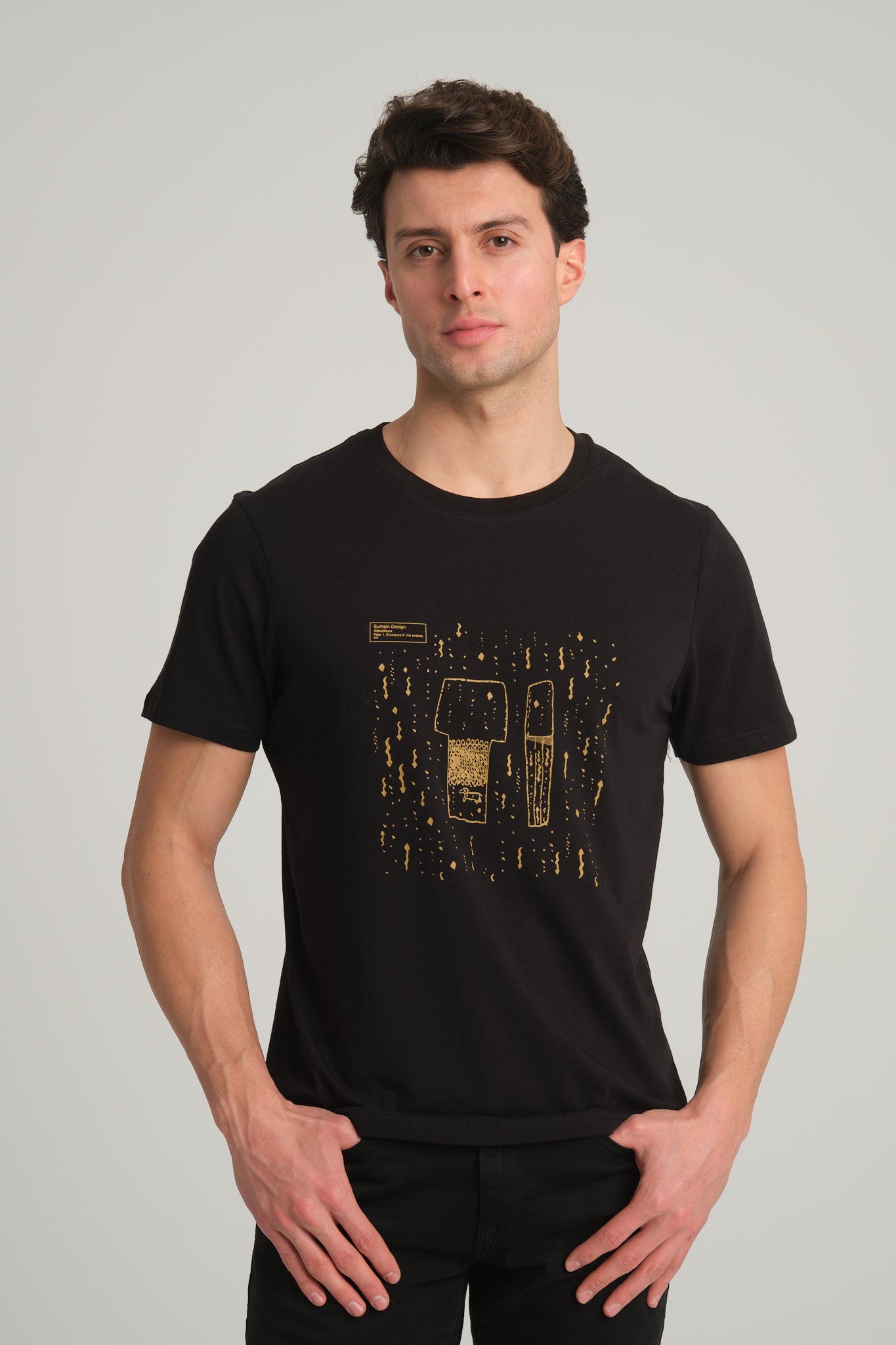 Gobeklitepe Printed Men's Black T-Shirt "Serpent Column"