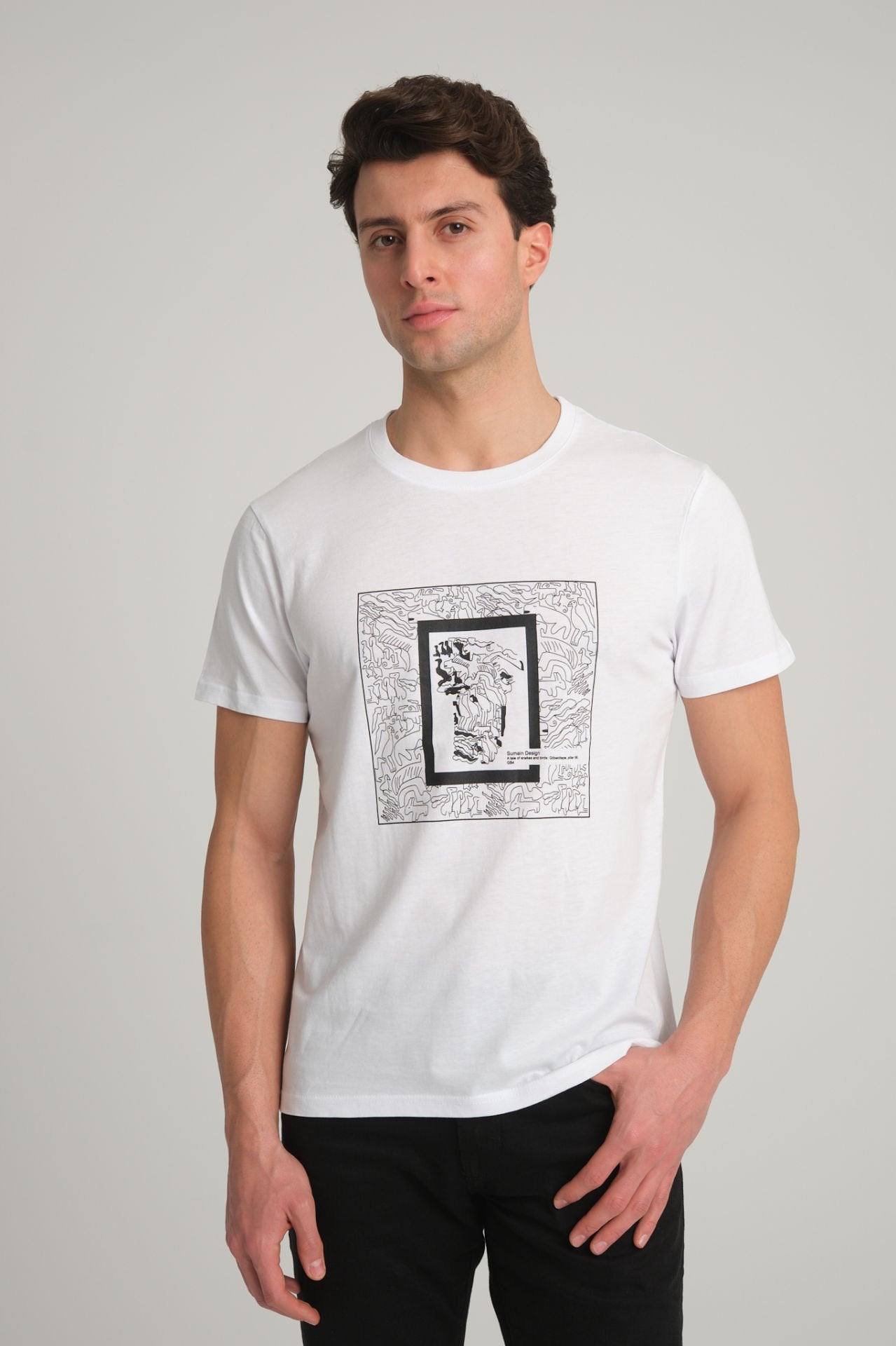 Göbeklitepe Printed Men's White T-Shirt ''The Story of Snakes and Birds''