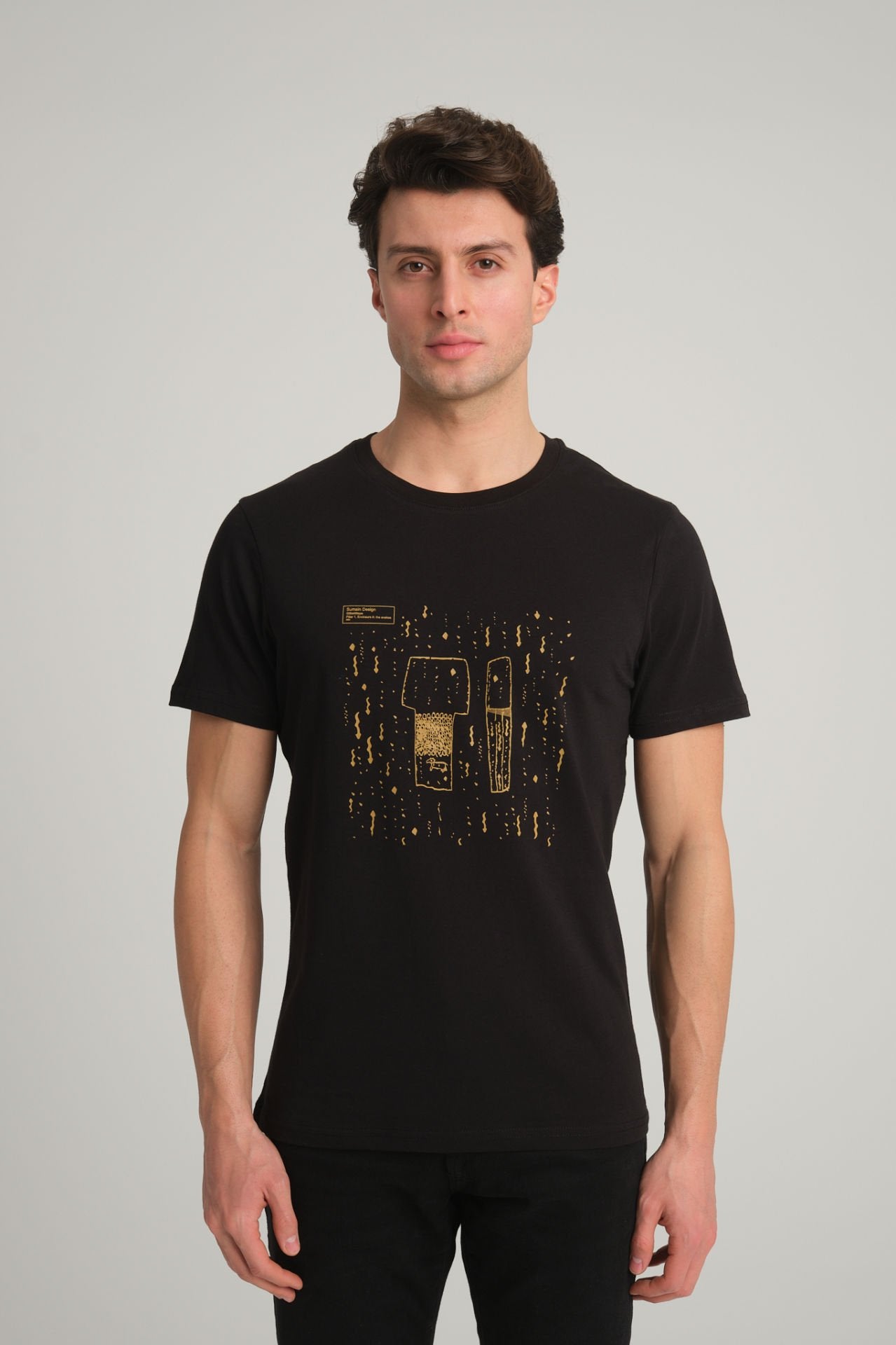 Gobeklitepe Printed Men's Black T-Shirt "Serpent Column"