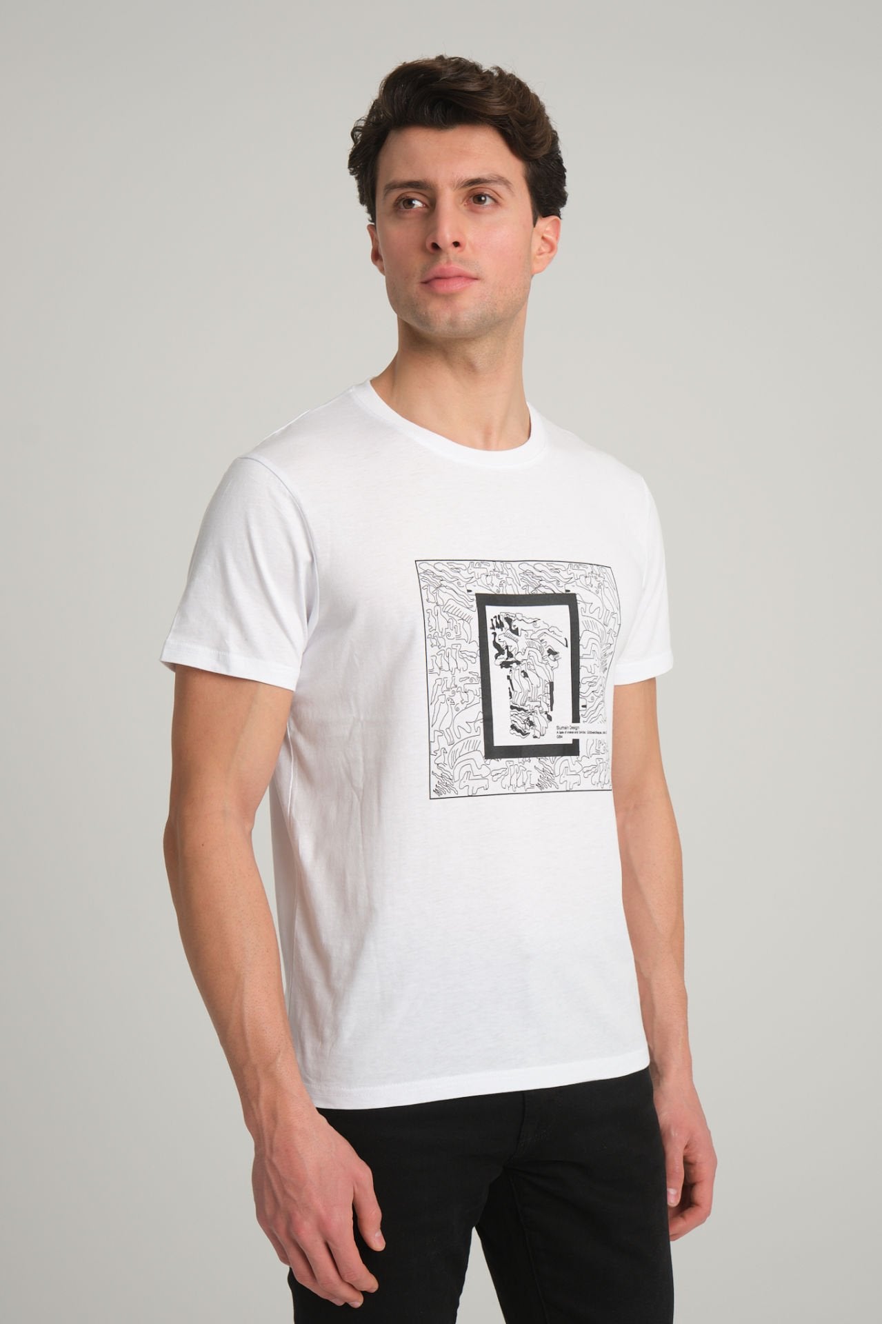 Göbeklitepe Printed Men's White T-Shirt ''The Story of Snakes and Birds''