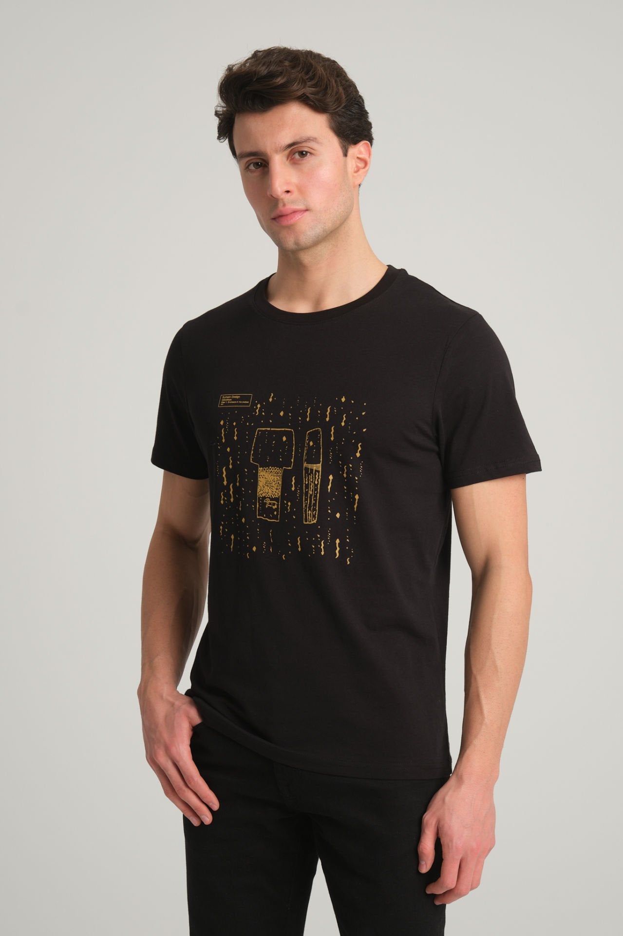 Gobeklitepe Printed Men's Black T-Shirt "Serpent Column"