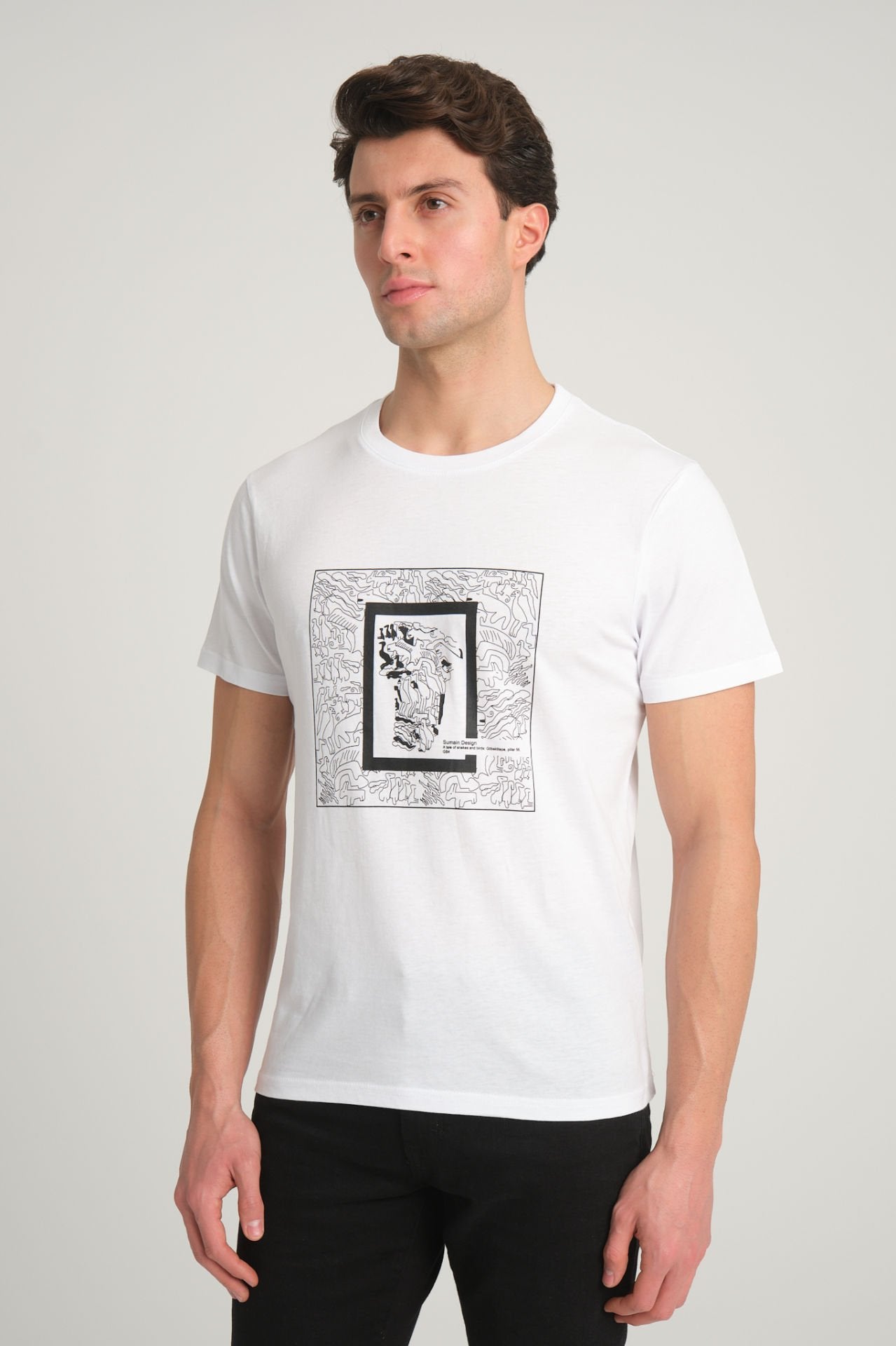 Göbeklitepe Printed Men's White T-Shirt ''The Story of Snakes and Birds''