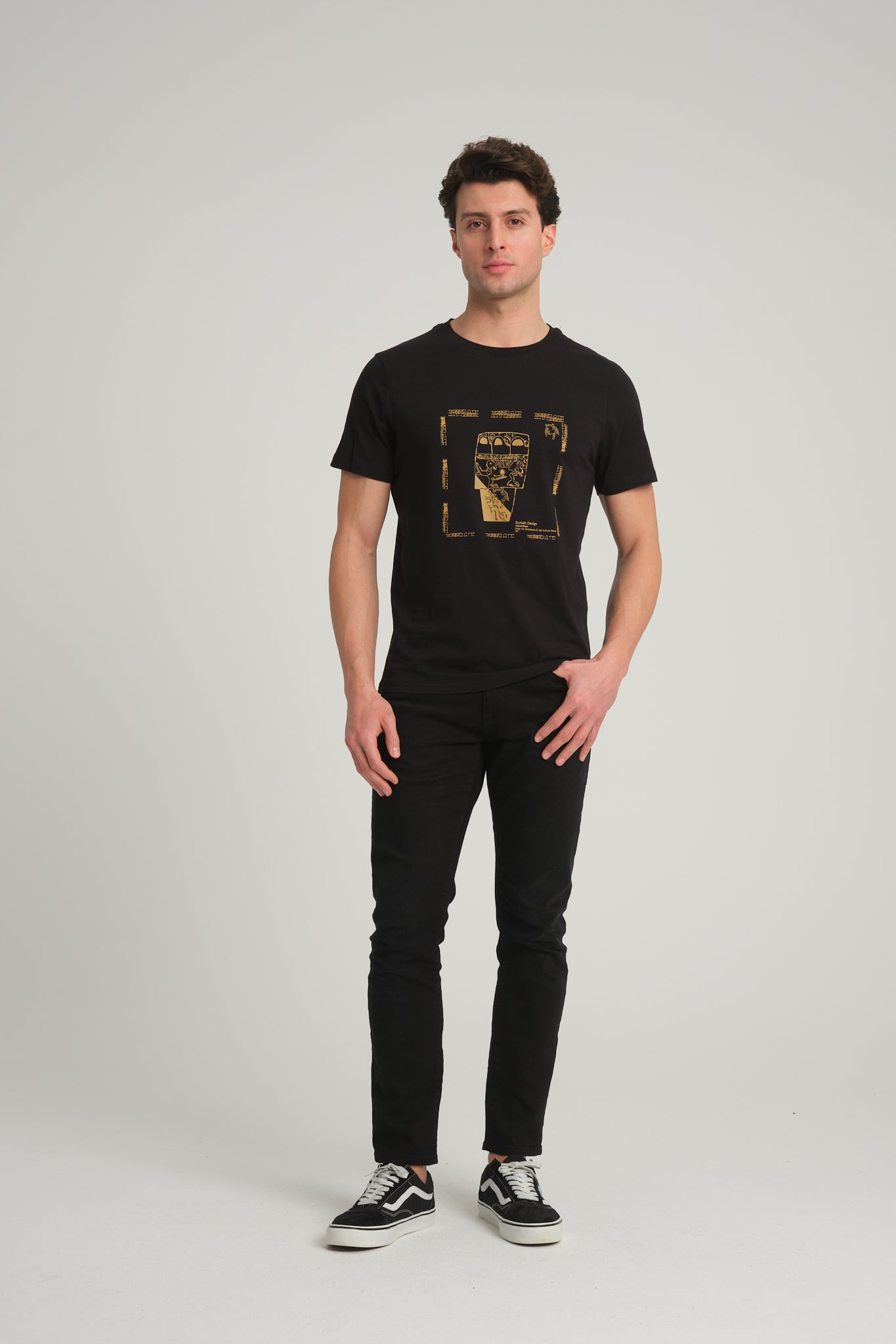 Gobeklitepe Printed Men's Black T-Shirt "Vulture Stone"