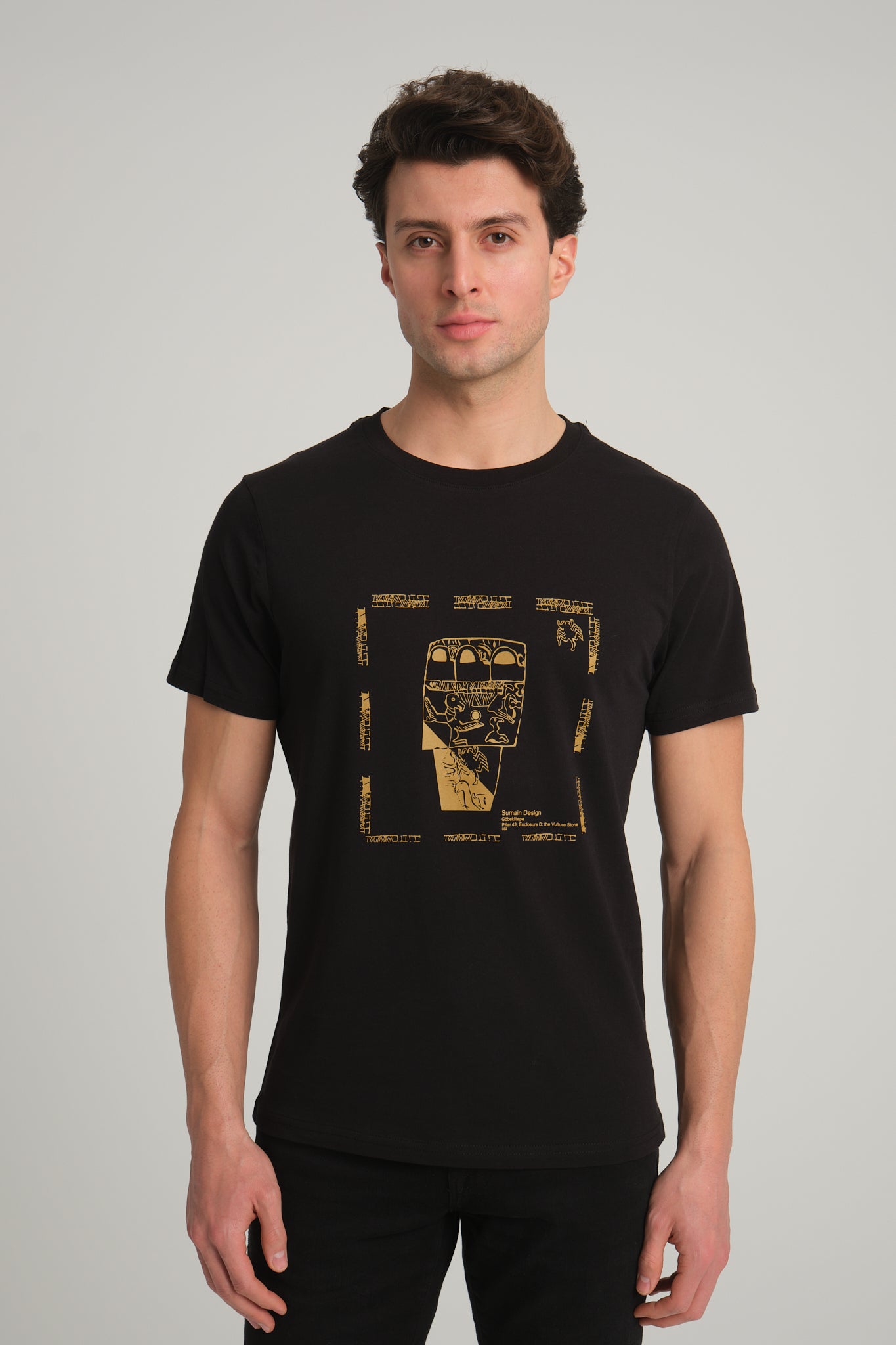 Gobeklitepe Printed Men's Black T-Shirt "Vulture Stone"