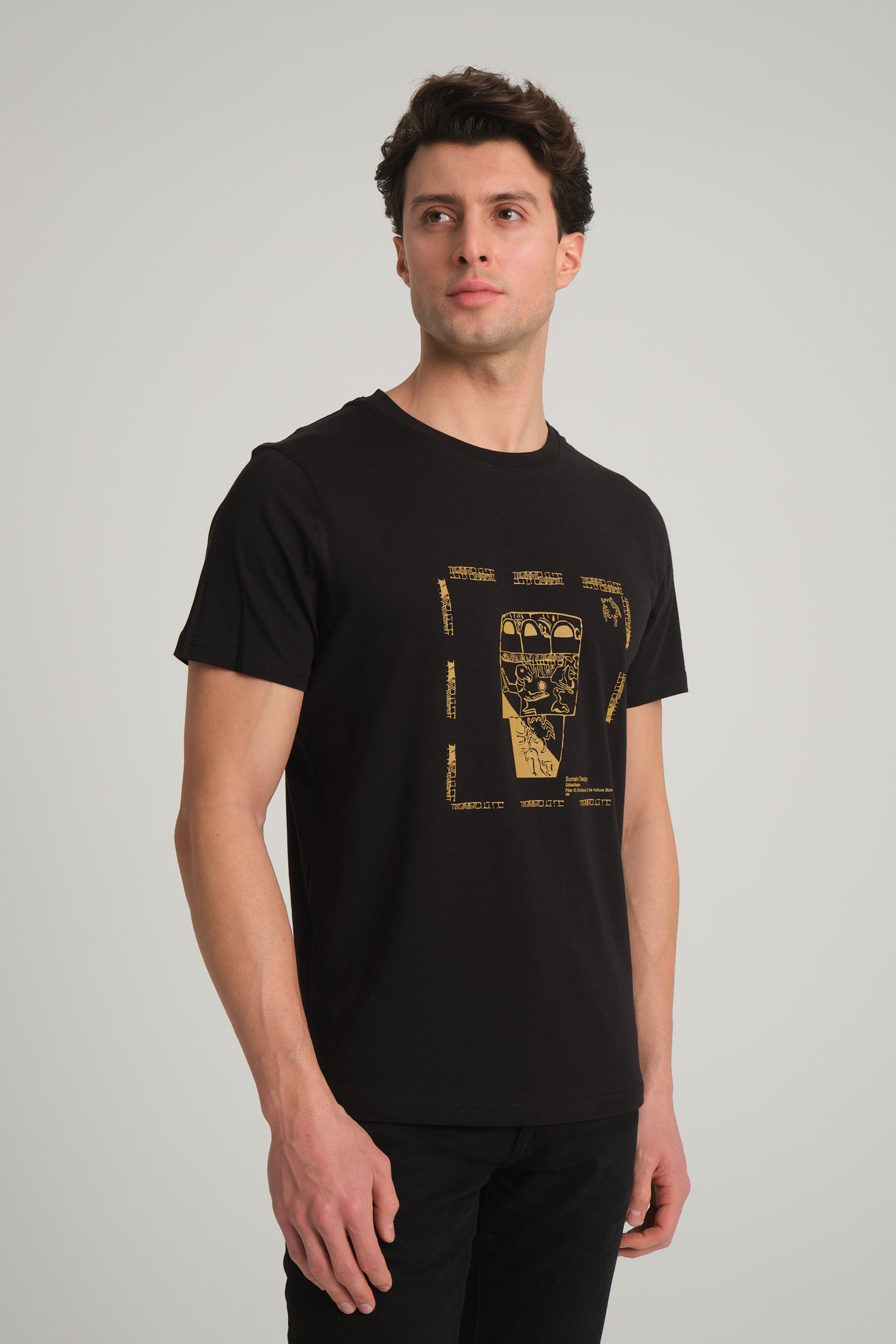 Gobeklitepe Printed Men's Black T-Shirt "Vulture Stone"