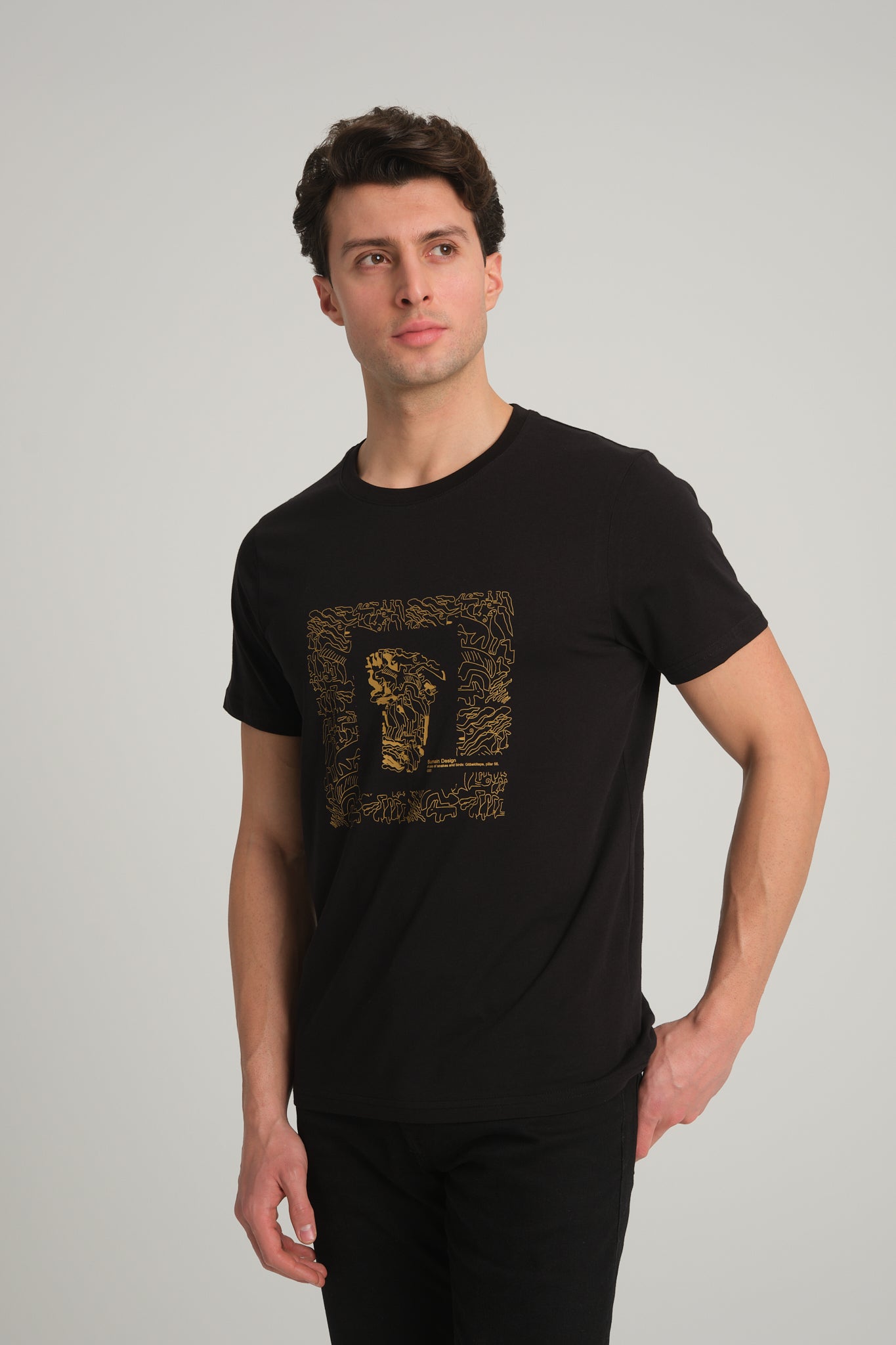 Gobeklitepe Printed Men's Black T-Shirt "The Story of Snakes and Birds"
