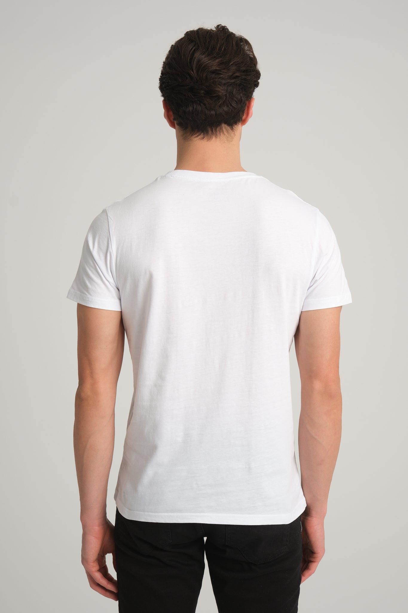 Göbeklitepe Printed Men's White T-Shirt "Vulture Stone"