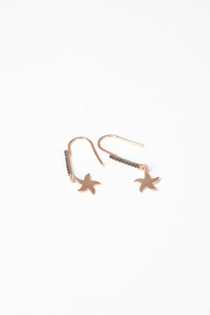 Silver Star Earrings